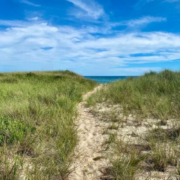 22 Sheep Pond Road, Nantucket — photo 6