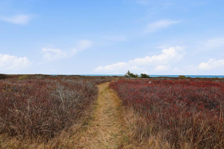 44 Madequecham Valley Road, Nantucket — photo 19