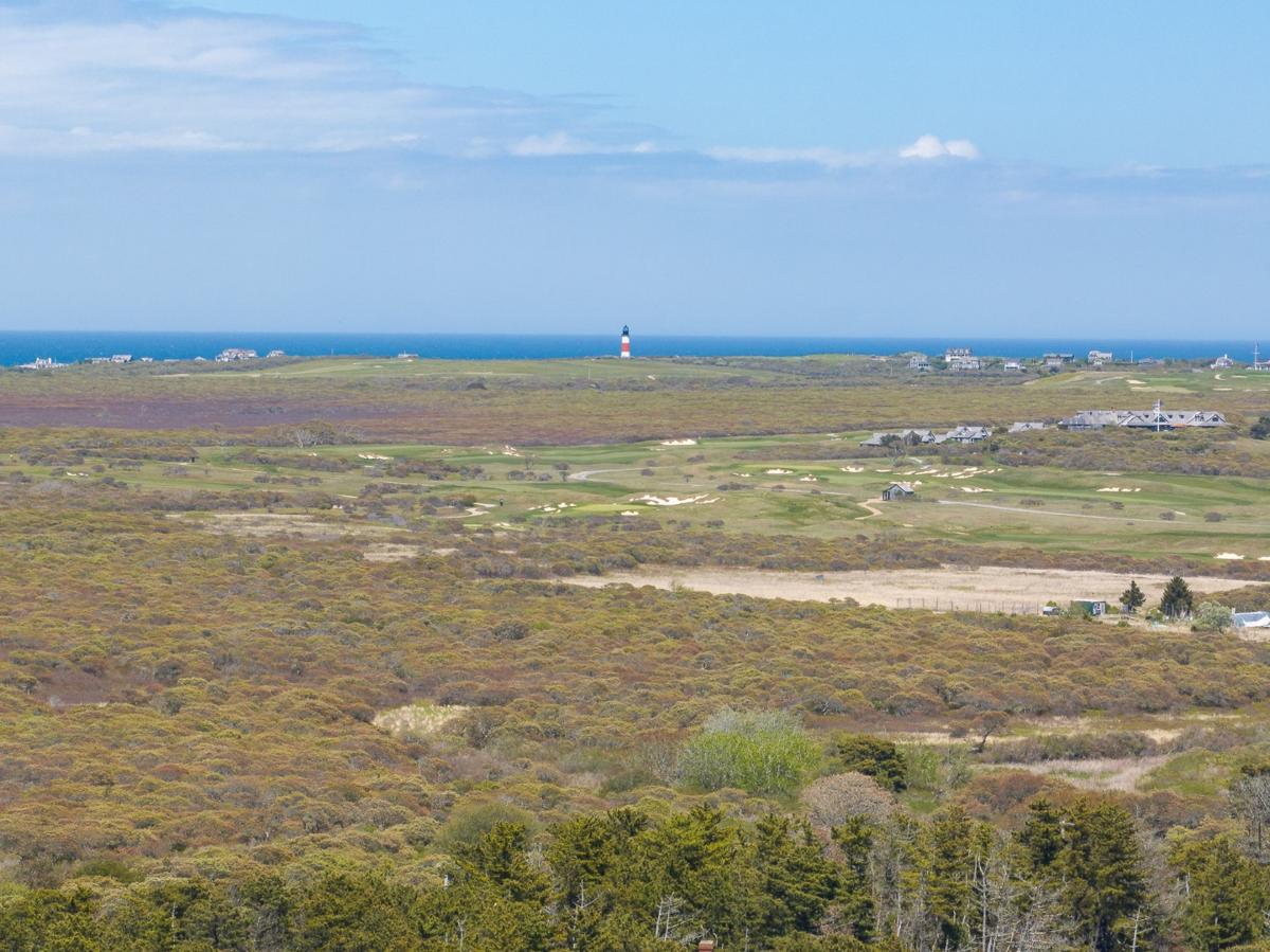 3 Whitetail Circle, Nantucket — photo 18