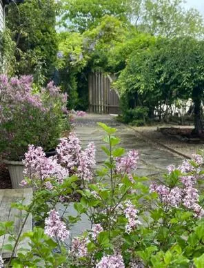263 Polpis Road photo