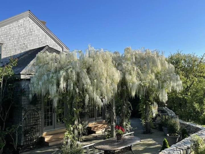 263 Polpis Road, Nantucket — photo 44
