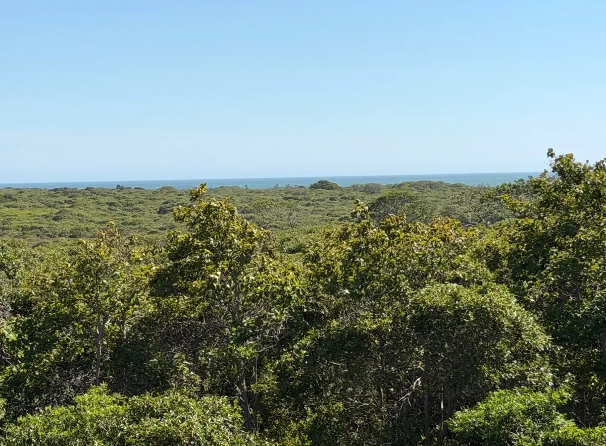 49 Tom Nevers Road, Nantucket