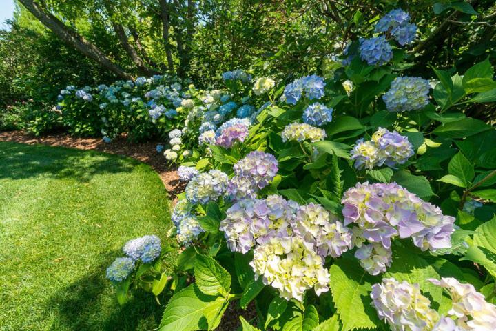 8 Monomoy Road, Nantucket — photo 71