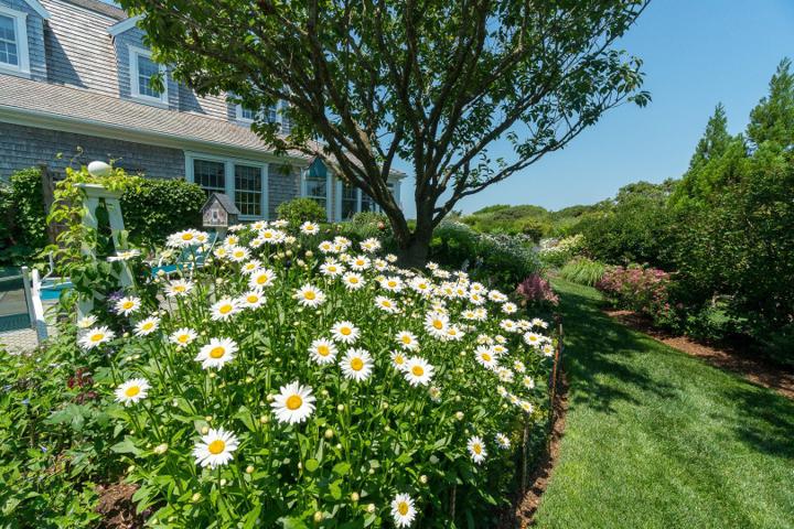 8 Monomoy Road, Nantucket — photo 54