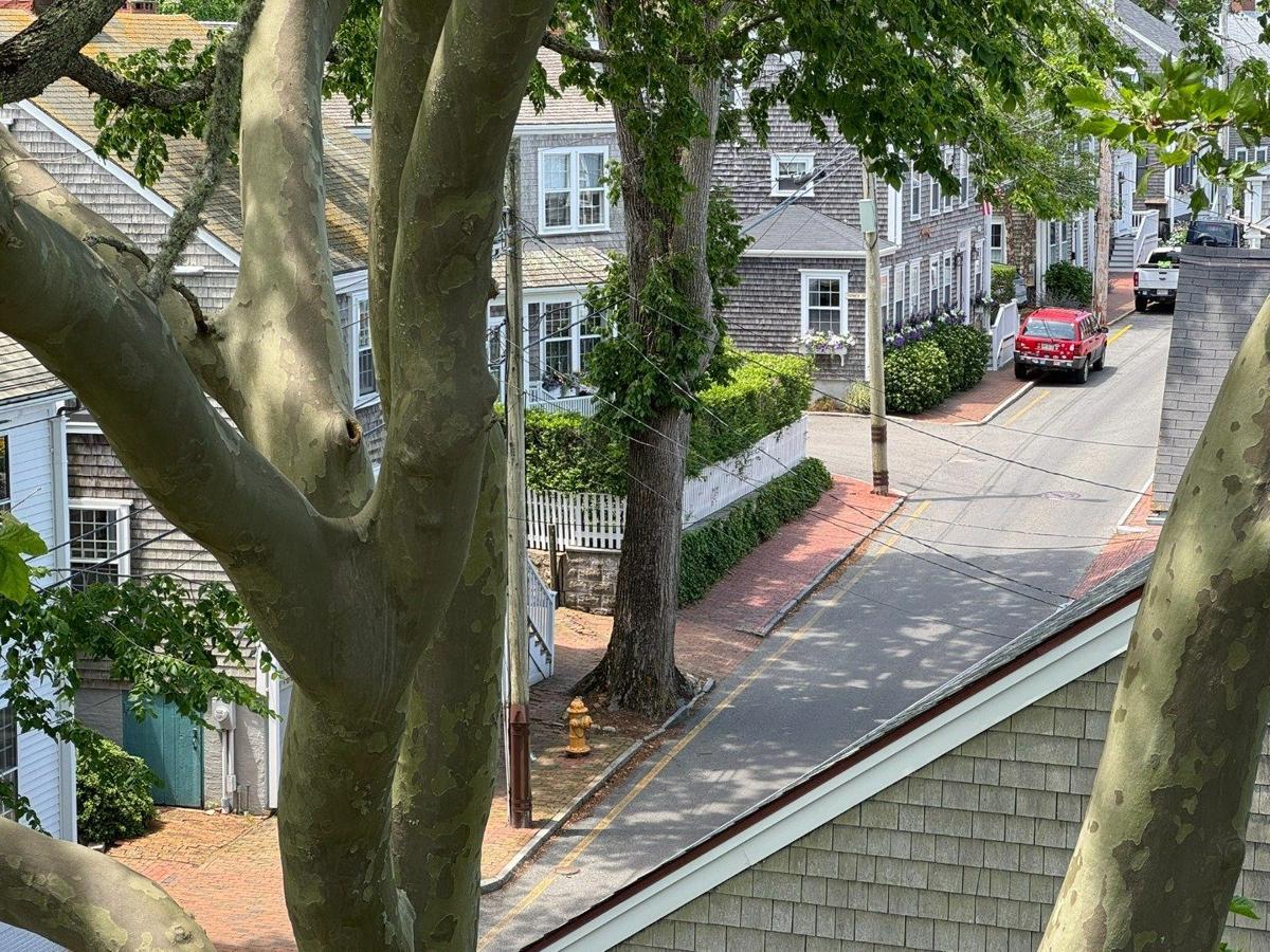 50 Fair Street, Nantucket — photo 65