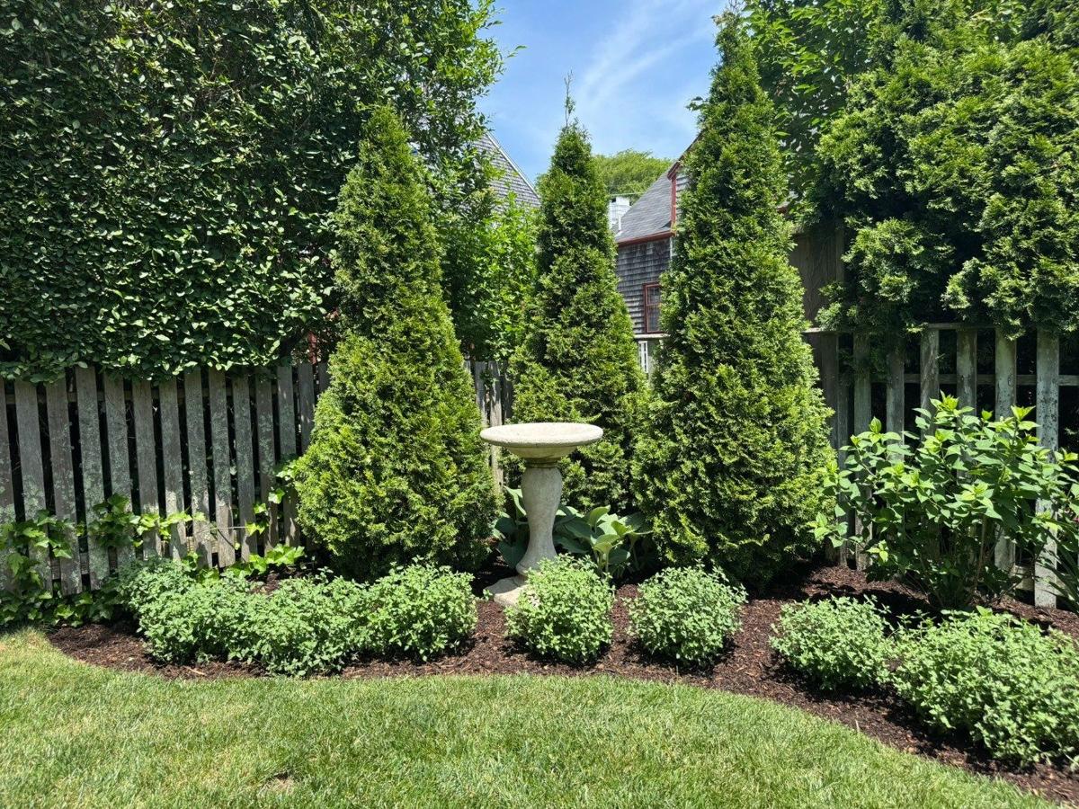 50 Fair Street, Nantucket — photo 59