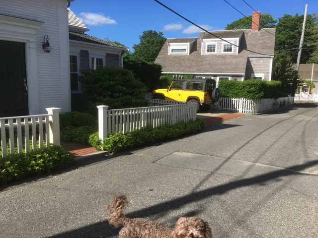 44 & 44B Pine Street, Nantucket