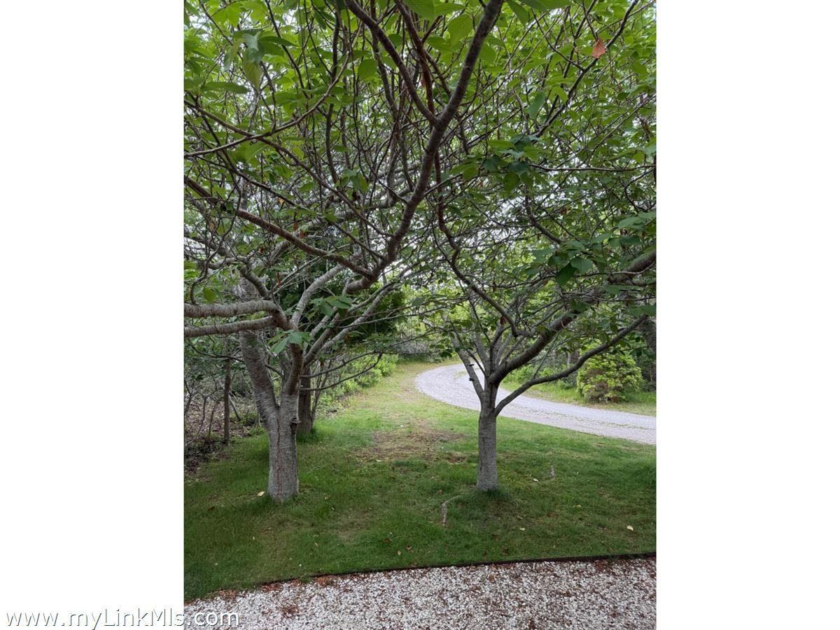 49 Tom Nevers Road, Nantucket — photo 5