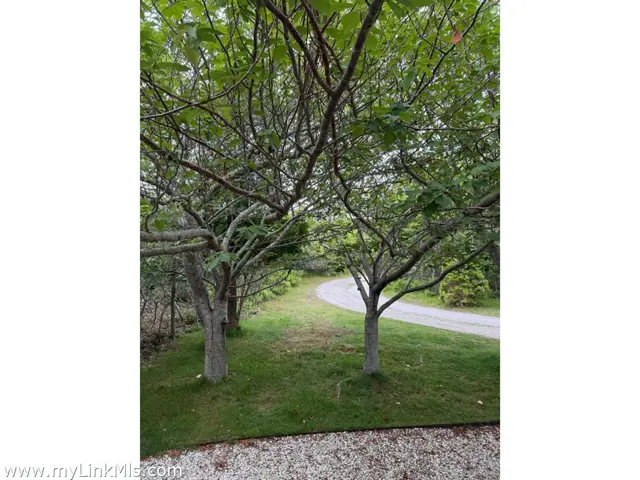 49 Tom Nevers Road photo