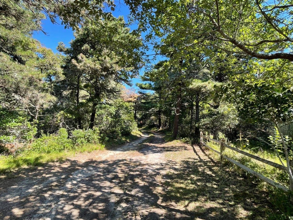 65 Milestone Road, Nantucket — photo 25