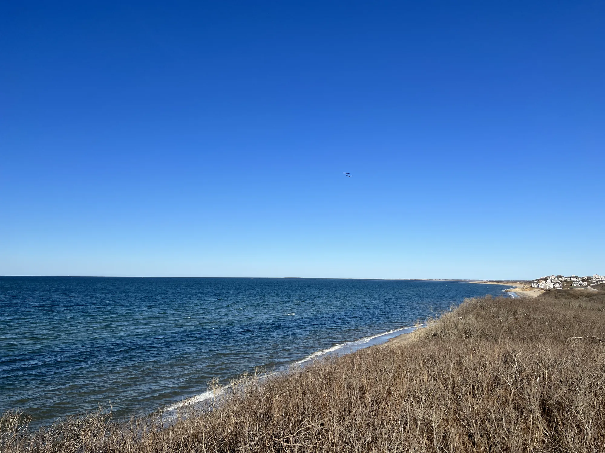High dune bluff over calm blue water at Dionis Beach on Nantucket's north shore