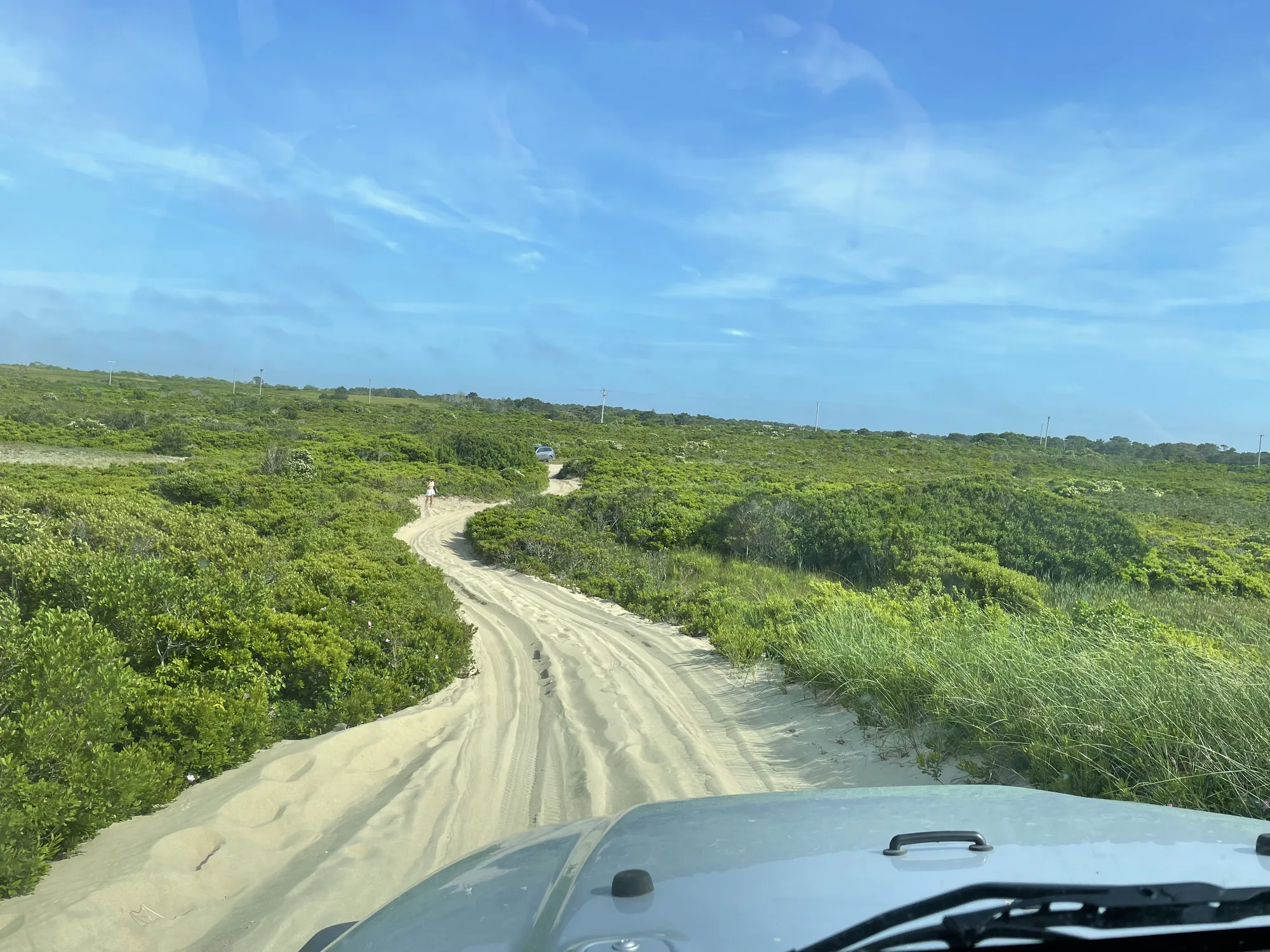 The sand road through green scrub toward Eel Point on Nantucket's northwest shore