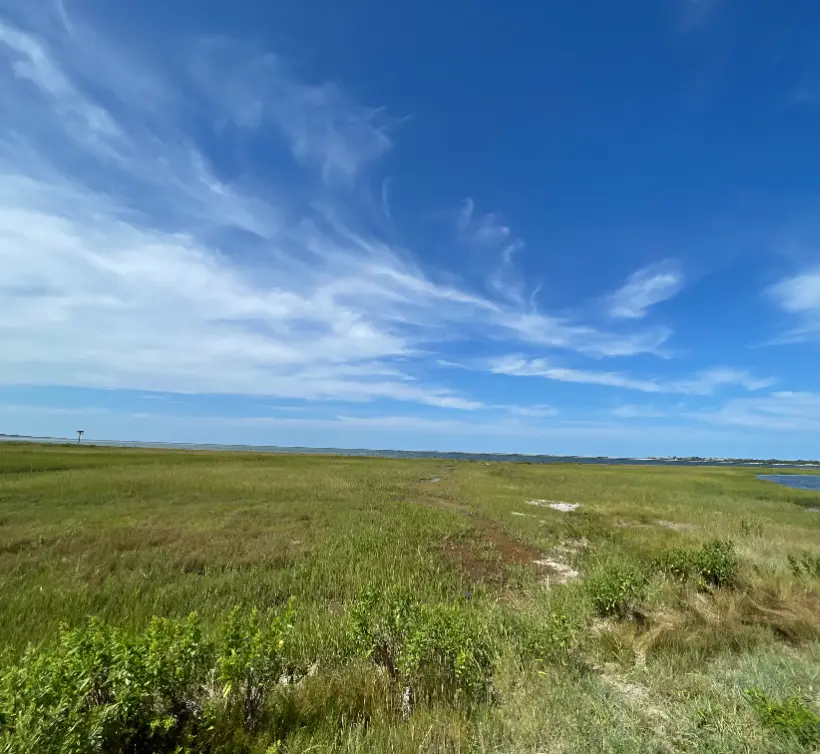 Open Nantucket conservation-edge land with marsh grass and harbor views under a blue sky