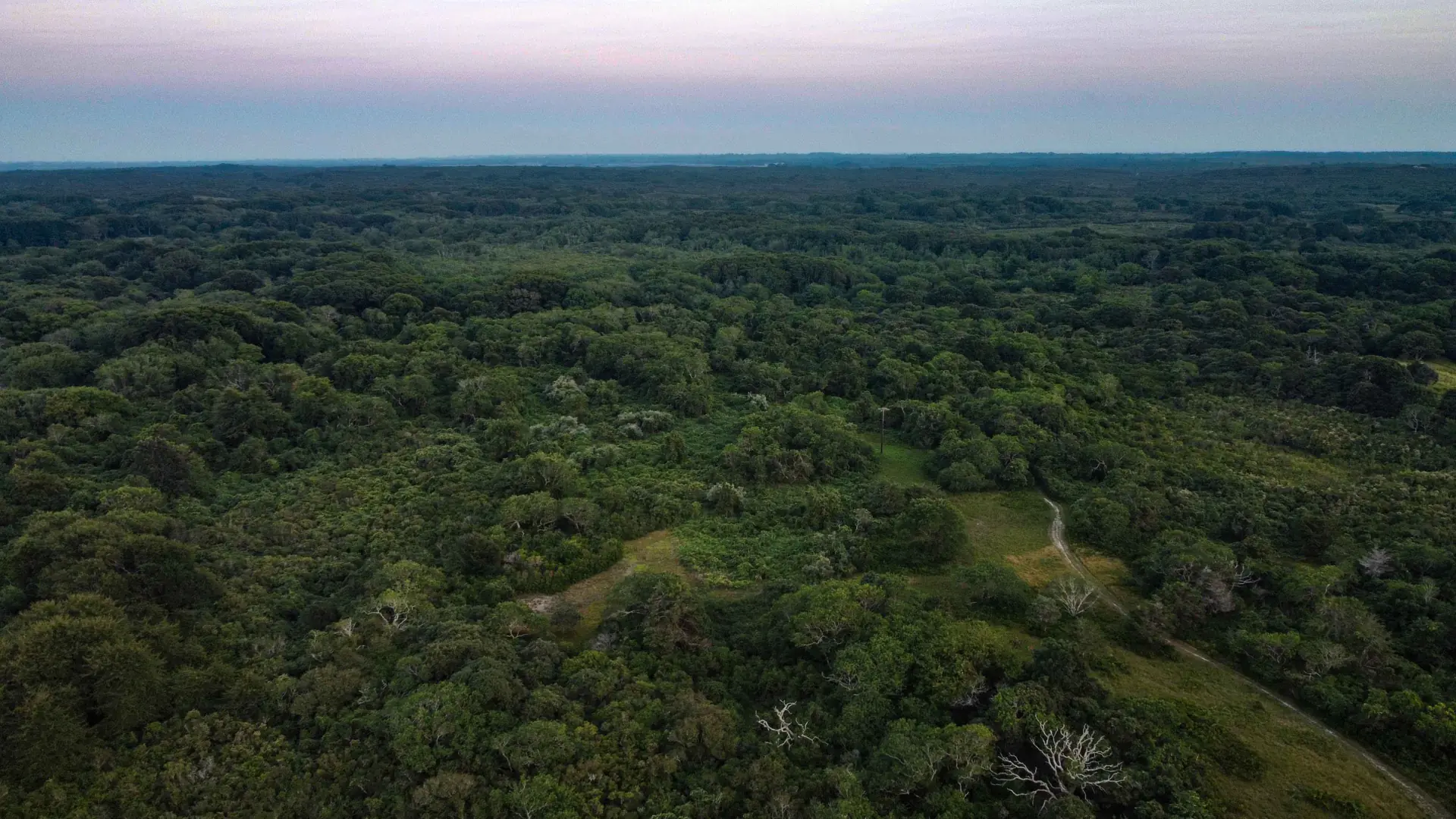 Aerial view over the Middle Moors conservation land on Nantucket