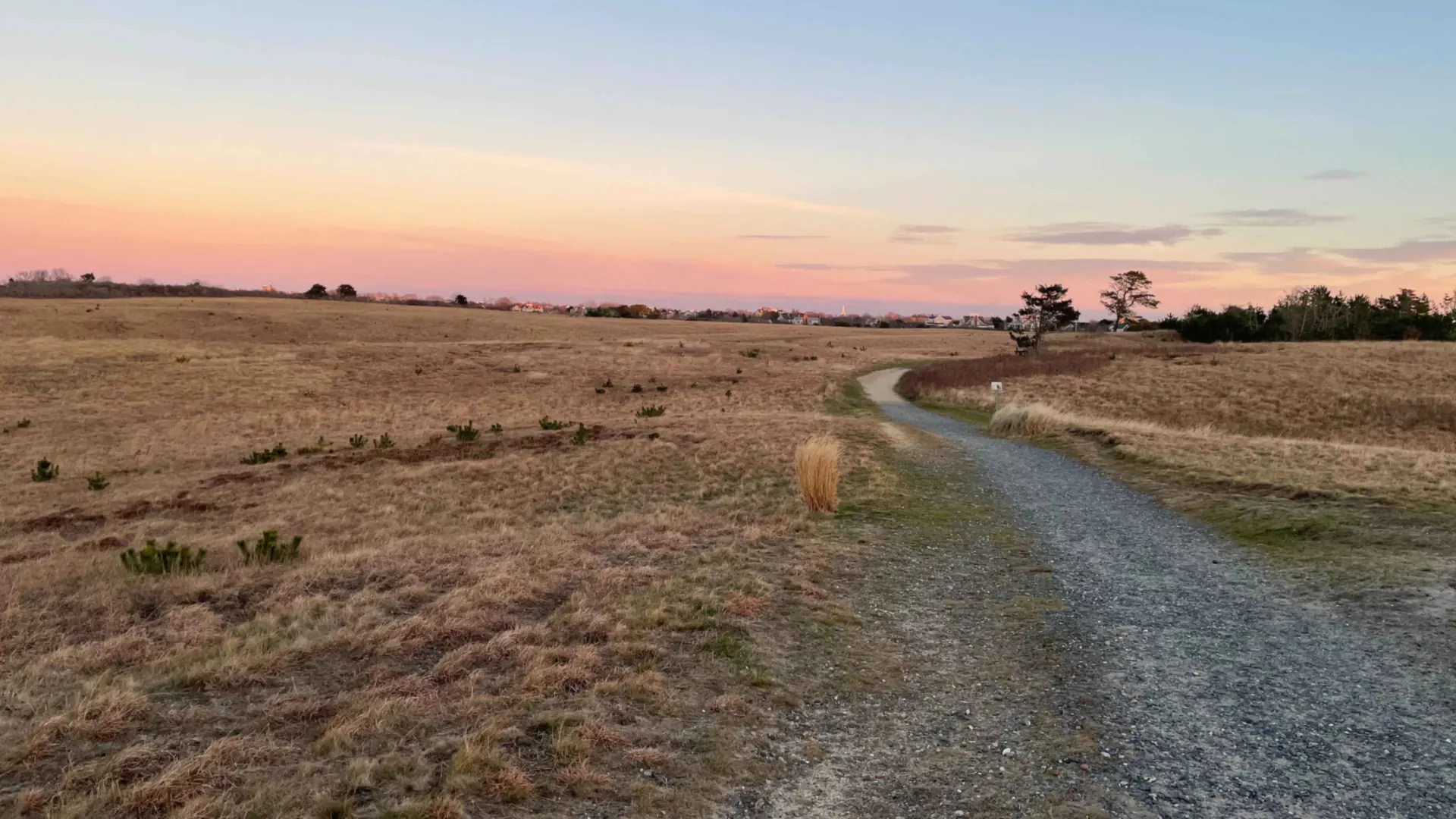 A gravel path curving through winter-gold moorland at Sanford Farm on Nantucket at dusk, scattered low pines either side, a line of houses and a church steeple on the skyline under a pink-and-blue sunset sky — conservation land open to walkers