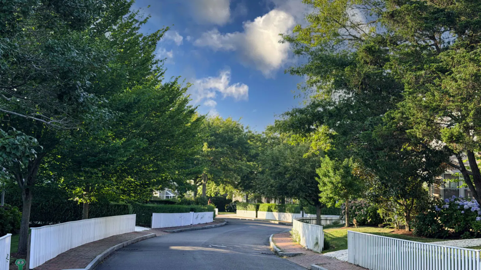 Tree-shaded lane with clipped hedges in Nashaquisset, Nantucket