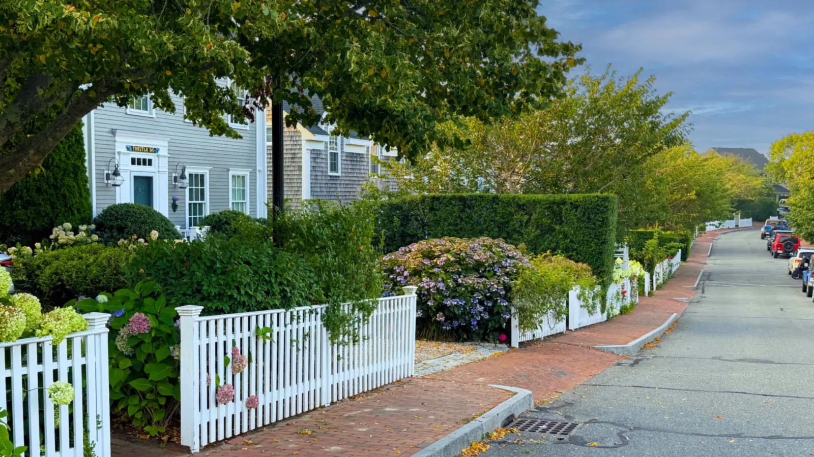 Hydrangeas and a white picket fence along a lane in Naushop, Nantucket