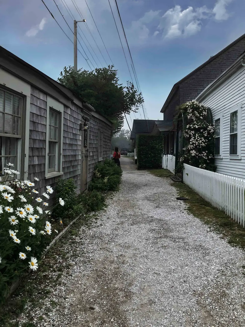 A 'Sconset lane — weathered shingle on one side, a rose arbor and white picket fence on the other, shell gravel down the middle