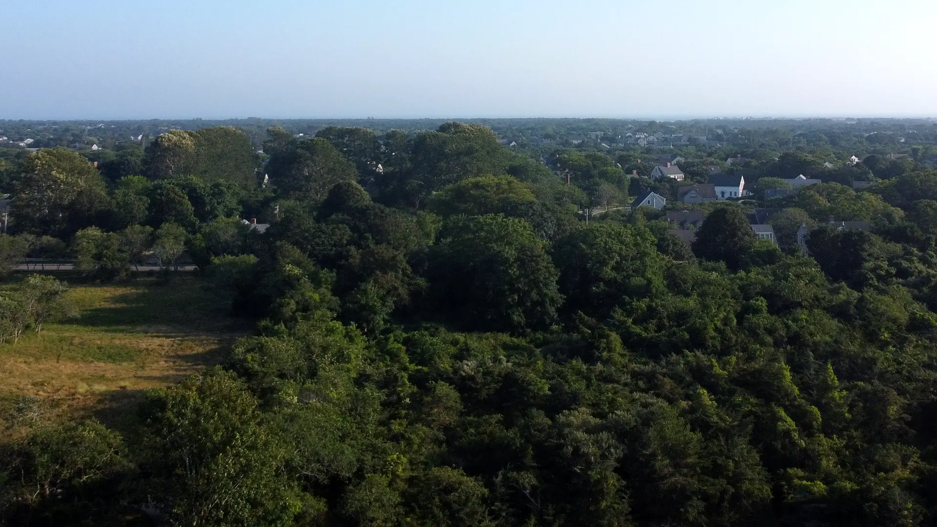 Aerial view over South of Town, Nantucket, with rooftops and tree canopy running toward the horizon